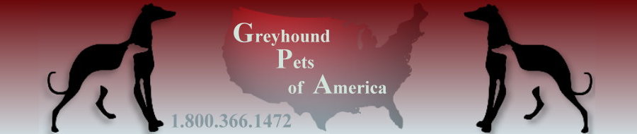 Greyhound Pets of America