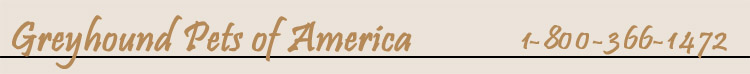 Greyhound Pets of America - 1-800-366-1742